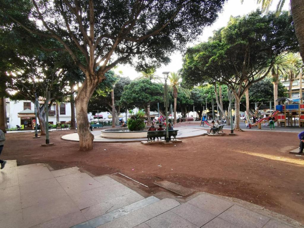 Avc Valle Luz Puerto de la Cruz  Bagian luar foto